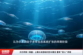大行评级丨高盛：上调小米目标价至38港元 重申“买入”评级视频封面