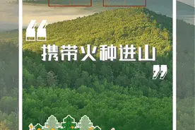 长沙市发布2025年第1号林长令！全面加强森林防火图片