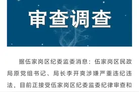 涉嫌严重违纪违法！湖北宜昌市伍家岗区民政局原党组书记、局长李开爽被查图片
