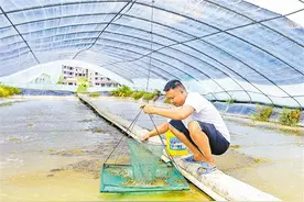 大山深处有了“海产基地”图片