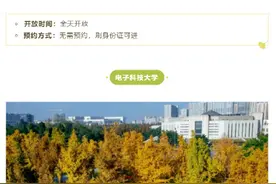 成都这些高校可以赏银杏了！入校事项戳→图片