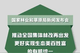 推动全国集体林改再出发 更好实现生态美百姓富的有机统一图片