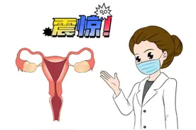 卵泡小鱼的奇妙之旅！揭秘女性一生中的排卵秘密图片