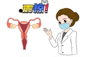 卵泡小鱼的奇妙之旅！揭秘女性一生中的排卵秘密图片