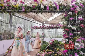 植物园百种万株兰花“温暖”武汉人的冬季！青蛙兰指甲兰首次亮相图片