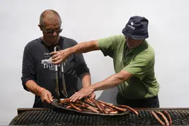 夏季享用小烧烤，需警惕这三种细菌！图片