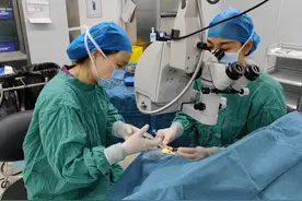 8岁女童角膜被铅笔戳破，医生用羊膜覆盖助患儿恢复视力图片