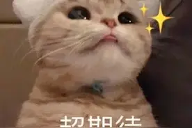 广州这个车站，即将通车！将接驳这些地铁图片