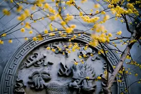 文学苏军新力量 | 叶迟：在人生的“微不足道”中勇敢挣扎图片