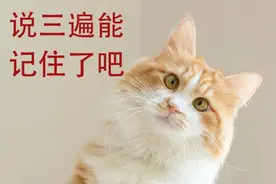 提醒！福建人，今早请提前出门！图片
