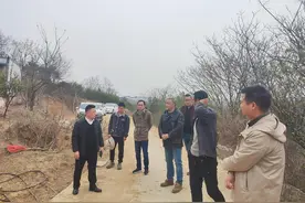 驻村工作队牵线搭桥，“高炉钱”山林散养土鸡蛋发货啦图片