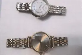 分手了还去前女友家帮忙喂猫？实则盗窃“LV”包包、手表和手串图片