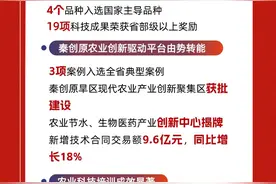 杨凌2024年做成了这些事图片