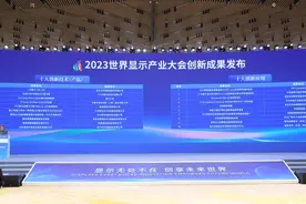 四川多家企业上榜！2023世界显示产业大会创新成果发布图片