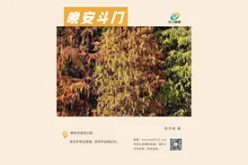 170家！最新名单，斗门刚刚公示…丨晚安斗门图片