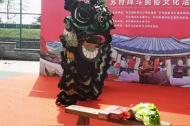 聚焦大沥“世界狮王”！佛山文联深度解读醒狮文化内涵图片