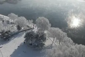 美若仙境！北国江城迎今冬首场星级雾凇图片