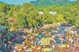 三明市高峰村：“石头蛋”上绽新花图片