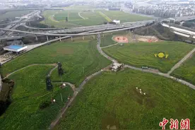 成都天府绿道春意盎然 油菜花开引游人打卡赏春图片