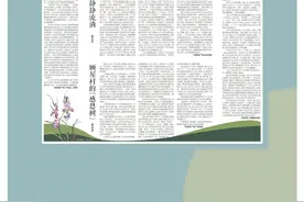 白沙的笋图片