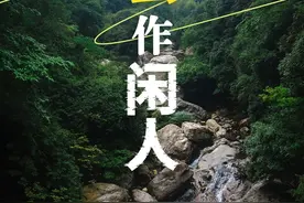今天就想退休，选哪里住？图片