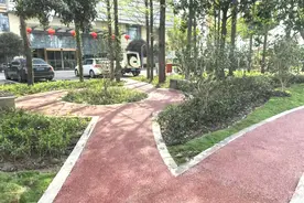 单位附属绿地开放中，一起走进青浦这三处绿化“新空间”~图片