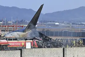 失事客机已致177人死亡，韩国宣布进入7天国家哀悼期图片