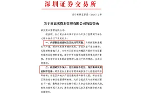出手IPO报价乱象 嘉实资本等九家机构被处罚图片