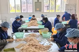 （乡村行·看振兴）从小作坊到产业链 鄱湖珠贝俏销海外图片