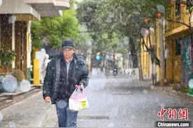 “春城”昆明持续降雪 云南多地发布道路结冰预警图片