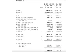 增收不增利，“利润王”华润置地净利润下跌图片