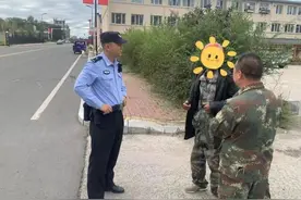 龙警故事 | 羊群集体“出逃” 民警深夜上演“寻羊记”图片