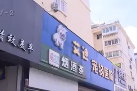 猫咪做绝育手术后死亡 顾客质疑艾迪宠物医院操作不当图片