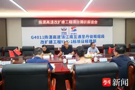 扬溧高速改扩建项目：现场督导促建设，部署任务保推进图片