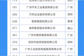 22家大湾区企业上榜2024年《财富》世界500强，最高排名第53名！图片