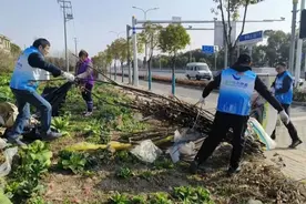 当好东道主，沪郊枫泾以点滴之力全力保障上海乐高乐园顺利开园图片