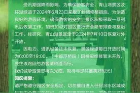 “抹茶森林”即将回归，杭州青山湖景区7月10日恢复开园图片
