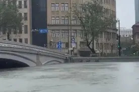 苏州河要漫出来了？上海市防汛办回应图片