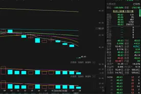 第一季度就预计亏掉“去年一半利润”  天齐锂业业绩预告发布后一字跌停图片