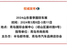 可油可电，性价比爆棚！在2024春季国际车展上，这七款插混（增程）车型最值得入手图片