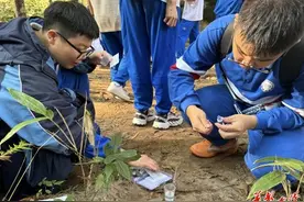 探索自然奥秘 长沙市怡海中学高二年级赴张家界开展研学活动图片