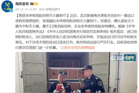 武汉新港海关查获未申报危险货物灭火器50个图片