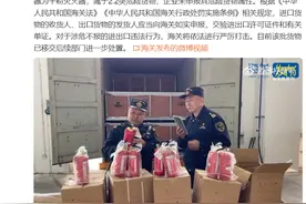 武汉新港海关查获未申报危险货物灭火器50个图片