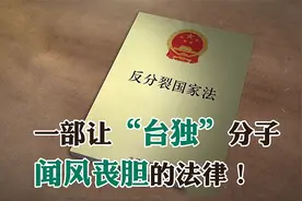 利剑高悬19年《反分裂国家法》有效震慑“台独”！图片