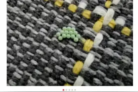 头皮发麻！多地网友家中突然大量出现……图片