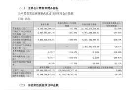 TCL中环公布第三季度财报 净亏损达29.98亿元图片