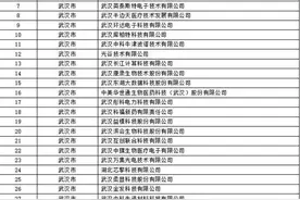 正在公示！72家鄂企入选国家级专精特新“小巨人”企业图片