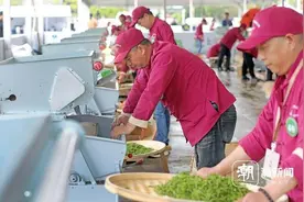 18个龙井生产县（市、区）茶农现场“斗茶”——谁是龙井“制茶大师”？图片