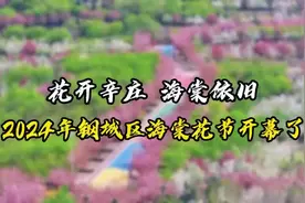 2024年钢城区海棠花节开幕了图片