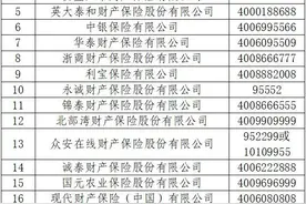 @新能源汽车车主 22家保险公司接入“车险好投保”平台图片